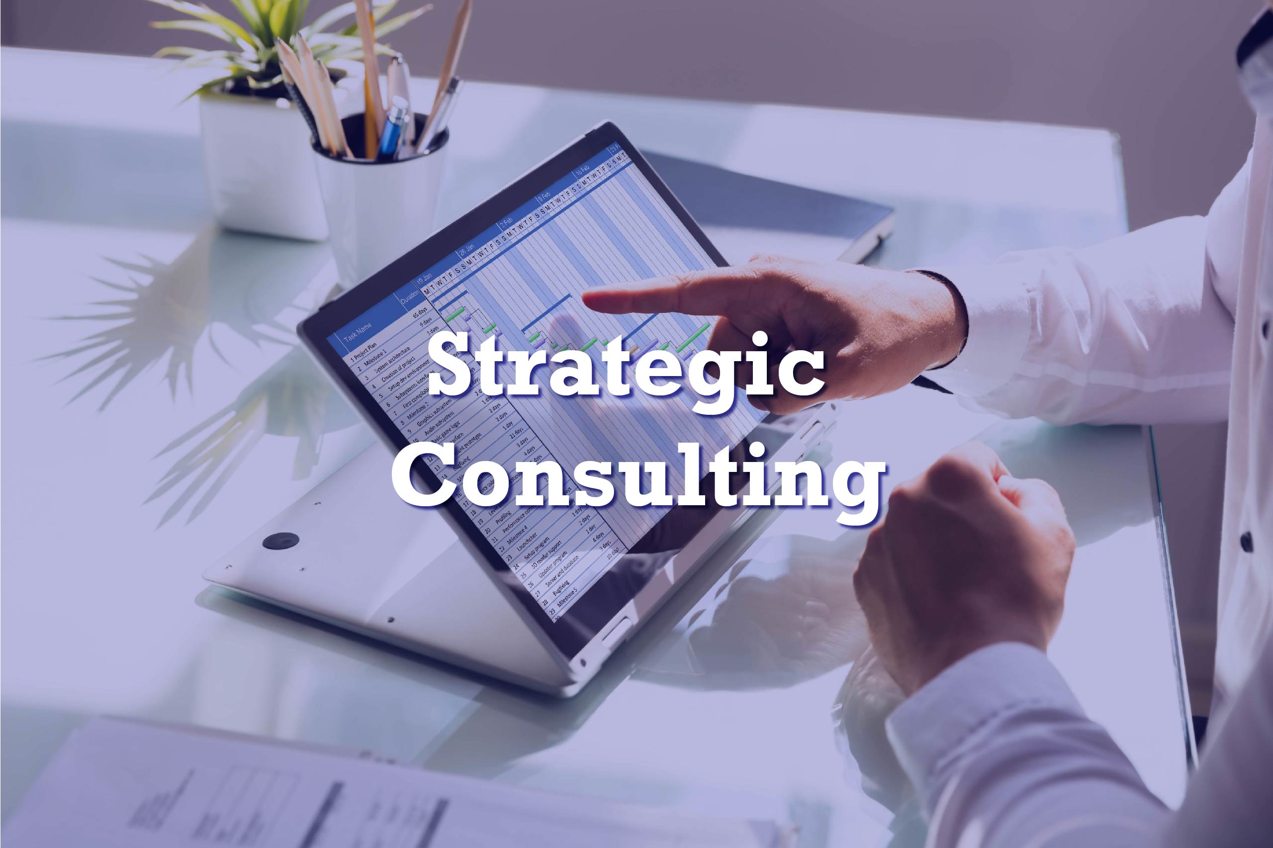 Strategic Consulting