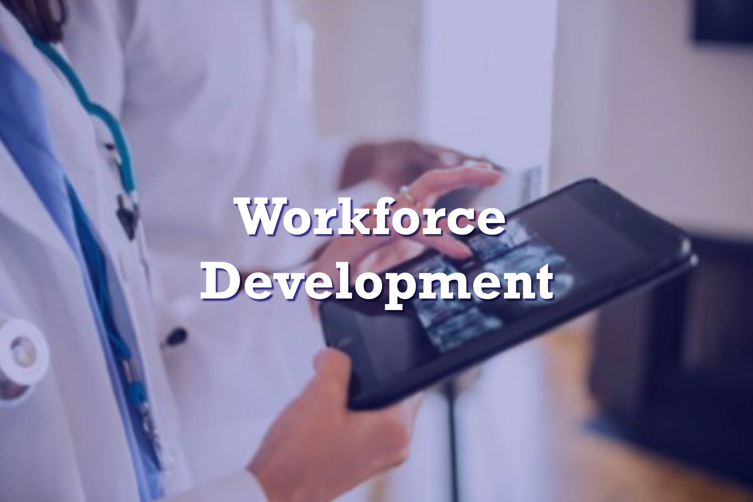 Workforce Development