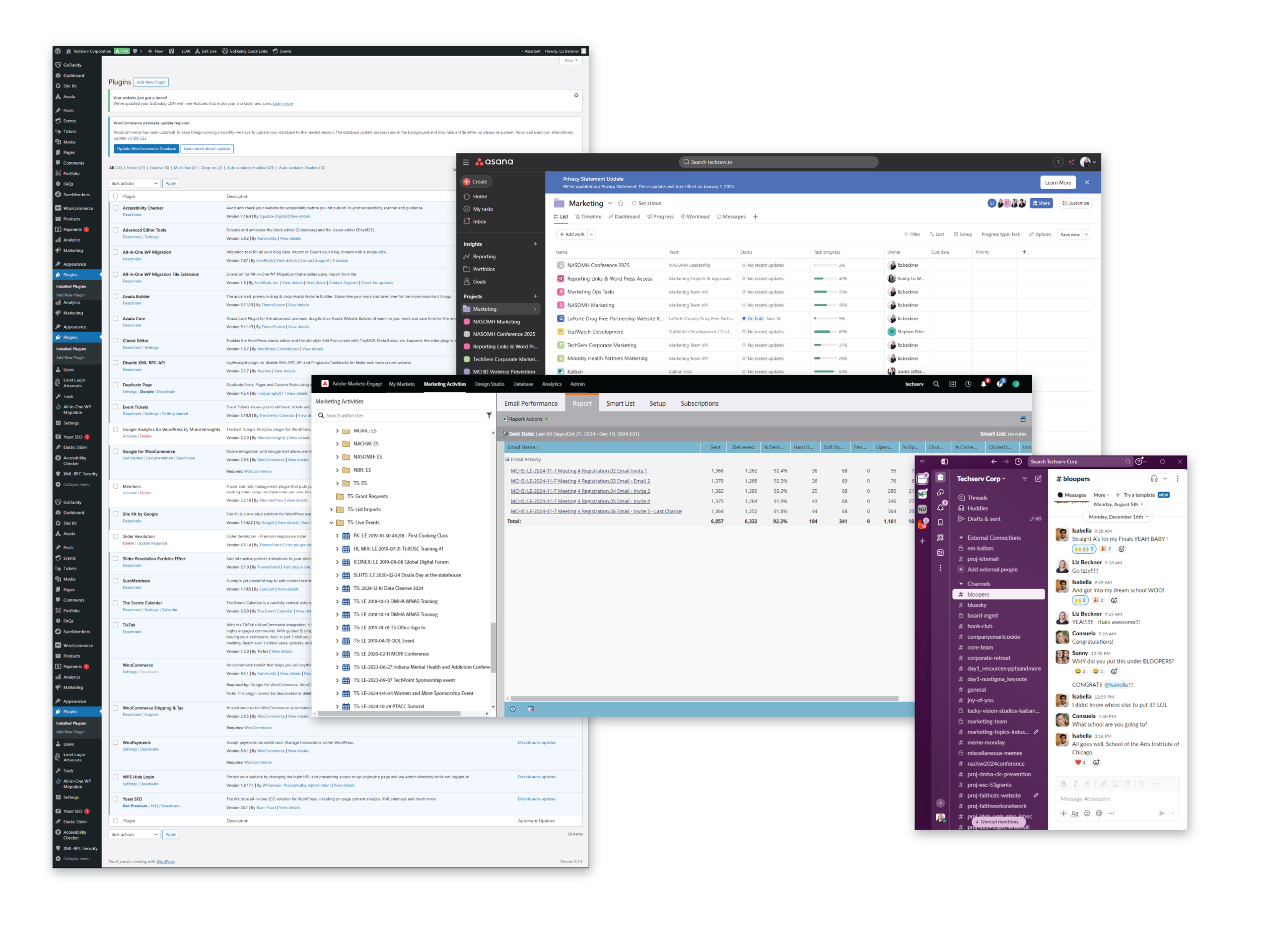 Examples of CMS integrations by Techserv